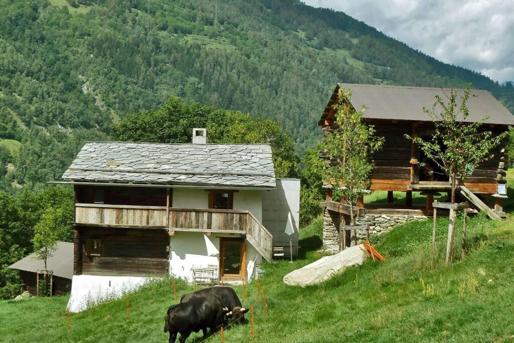 Appartement "Le Ver Luisant" A Saint-Martin, Val D'Herens, Valais Екстериор снимка